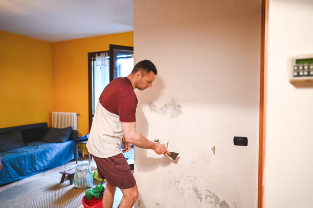 Certified Mold Removal in Freeport, PA